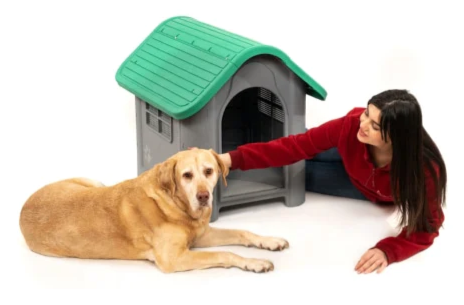 Brave Paws Indoor & Outdoor Dog Kennel House: Providing Optimal Comfort and Security for Your Dog