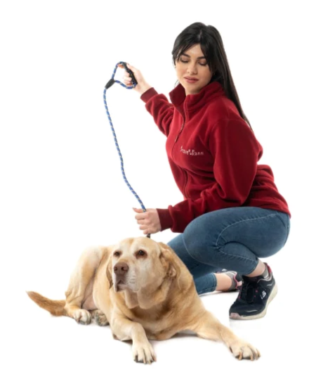Enhance Your Walking Experience with the Brave Paws Heavy Duty Padded Handle Lead For Medium and Large Dogs