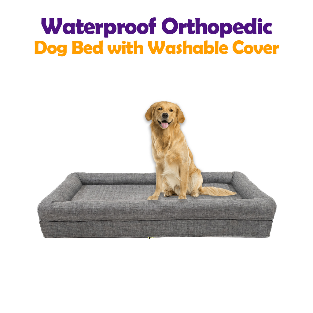 Paws - Waterproof Dog Mats