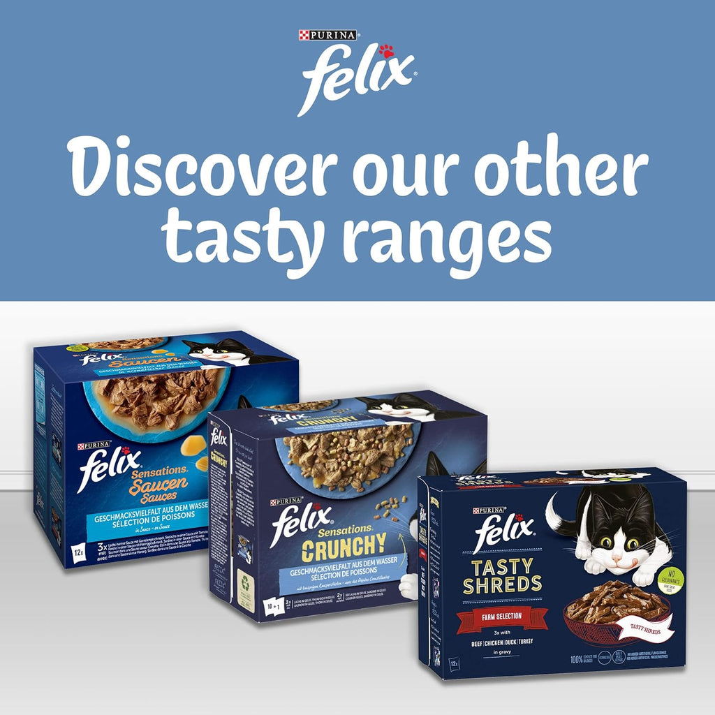 ORIGINAL Fish Favourites in Jelly Wet Cat Food 40X85G